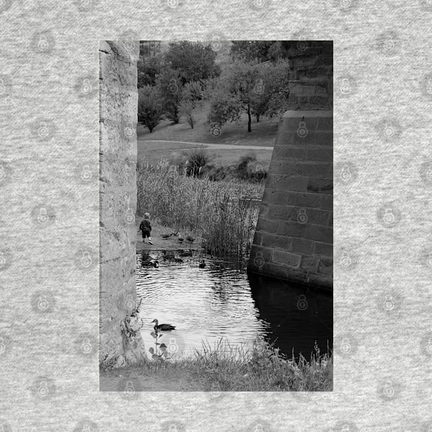 Boy feeding the ducks by Kirkcov